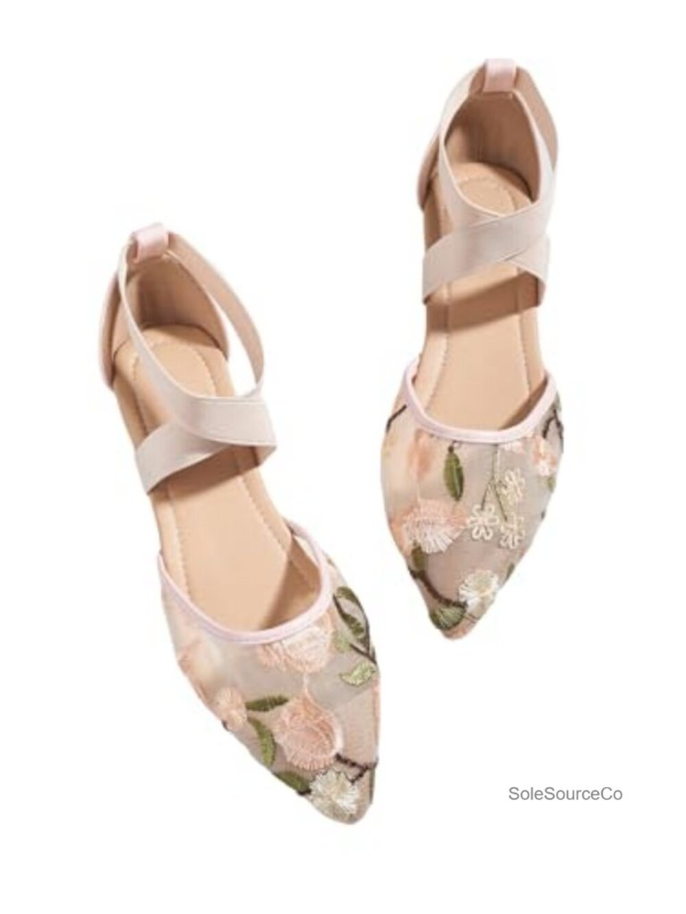 Women's Mesh Ballet Flats Pointed Toe Ankle Strap Floral Embroidery Ballerina